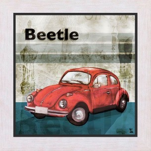 Bettle